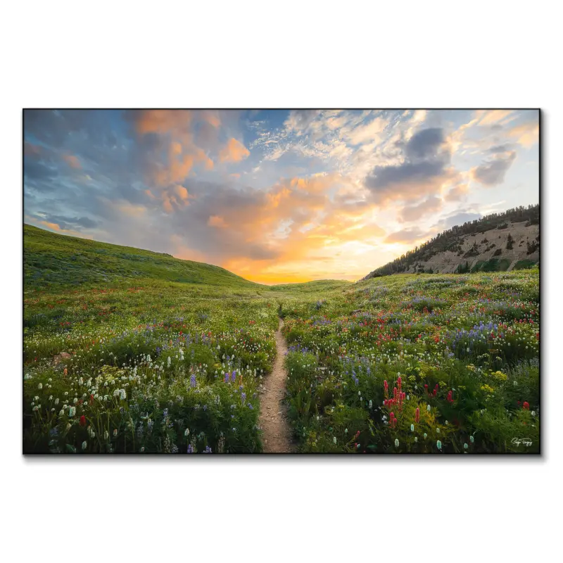 Mountain Landscape Wall Art By Paige Tingey
