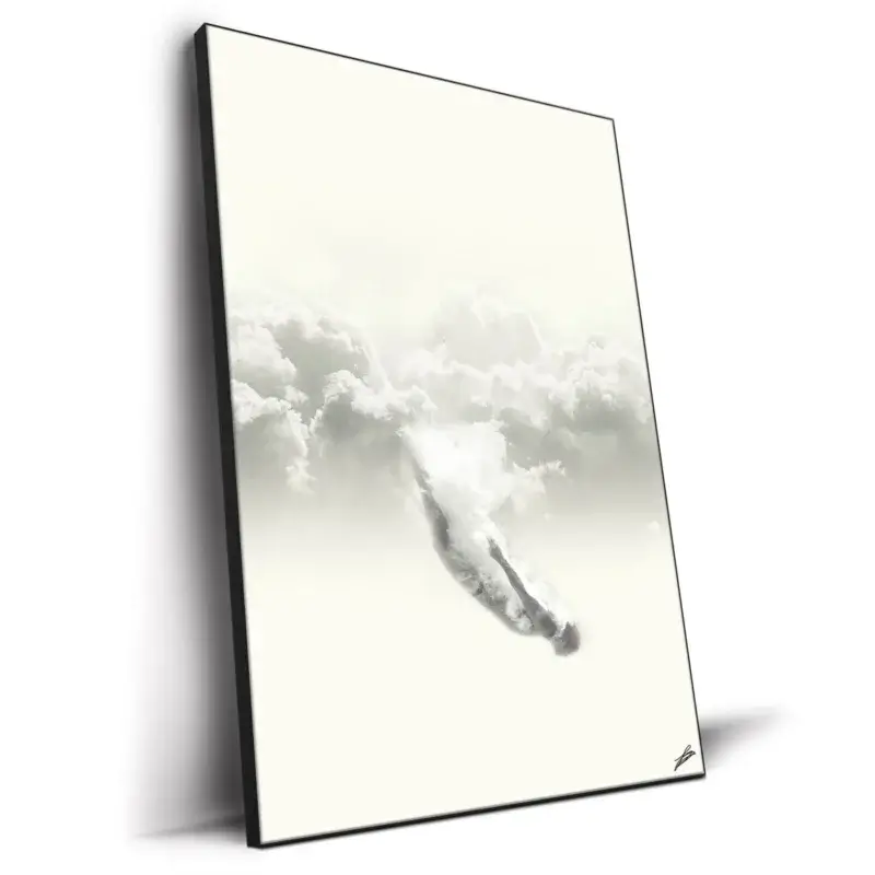 Sky-Diver Black and White Wall Decor by Fran Rodríguez