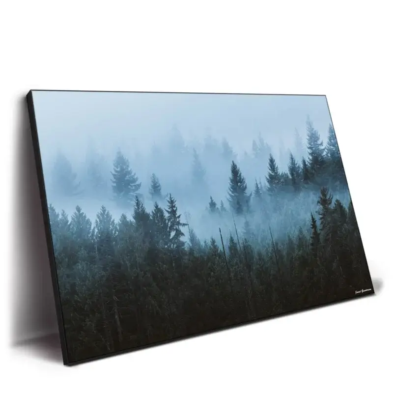 Enchanted Forest Cool Wall Decor by Jared Q. Gunderson
