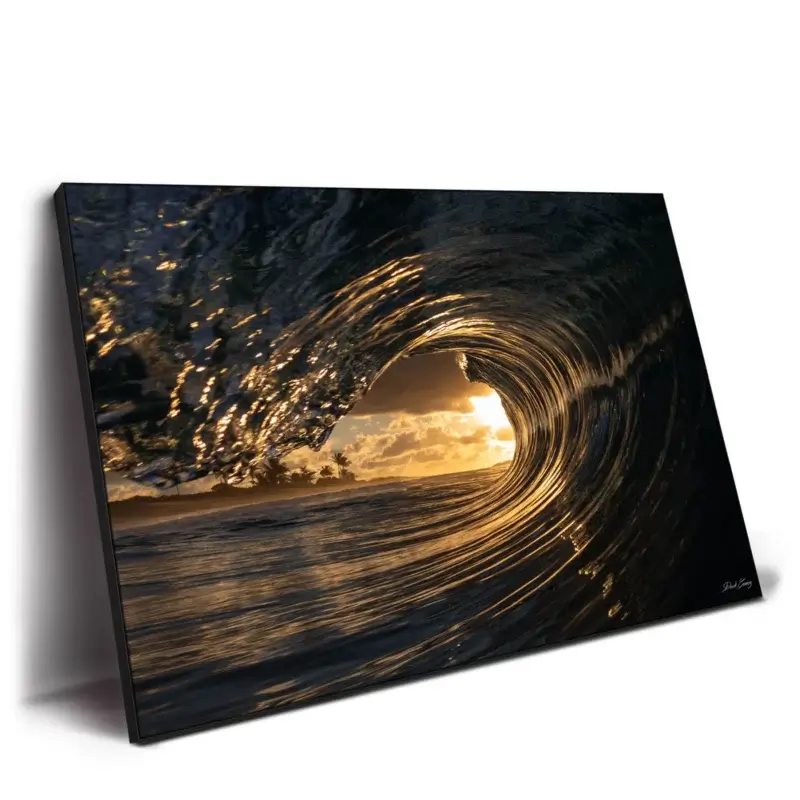 Early Riser Warm Wall Decor by Derek Gomez