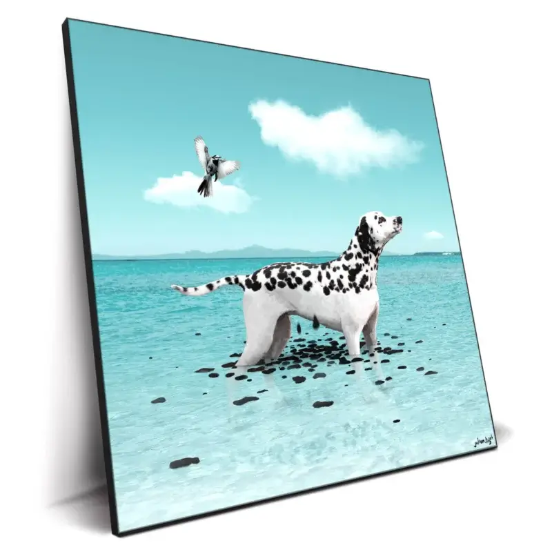 Ephemeral Cool Wall Decor by Julien Tabet