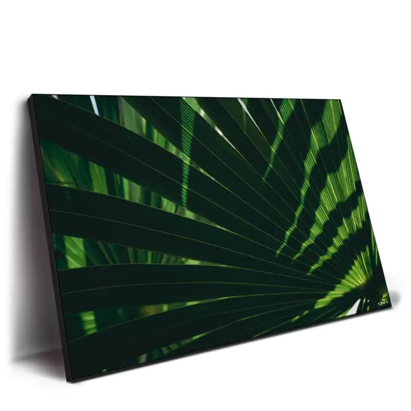 Lazy Day Green Wall Decor by Nick Ford