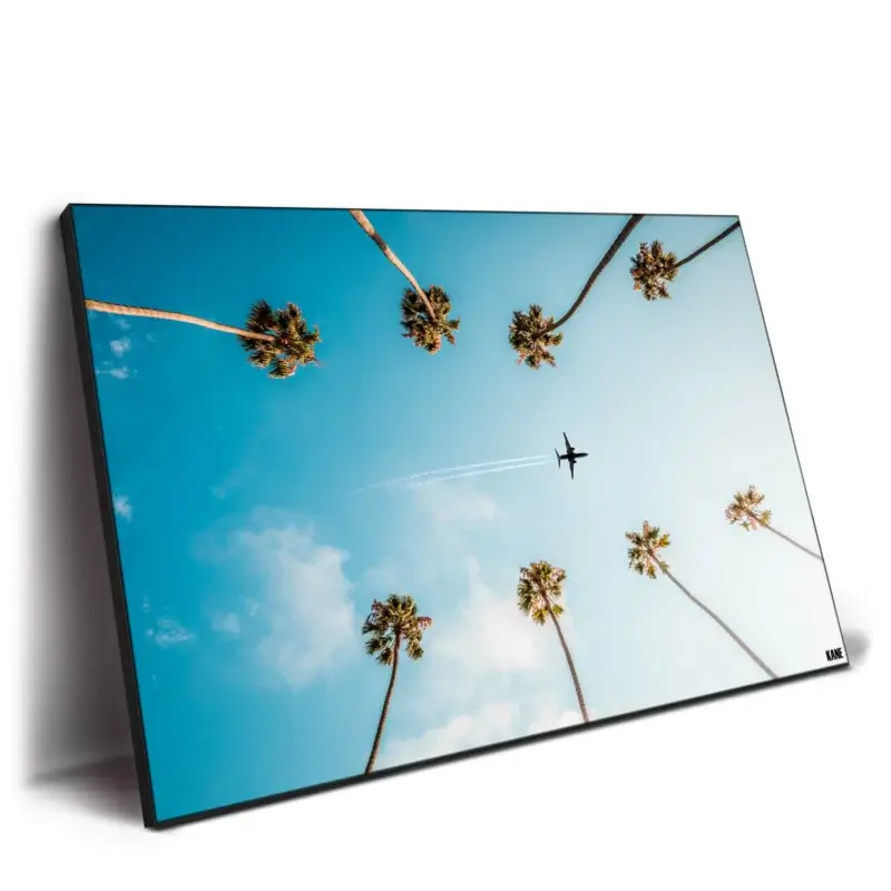 Palm Flight Cool Wall Decor by Kane C. Andrade