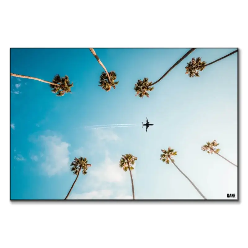 Palm Flight Cool Wall Art by Kane C. Andrade