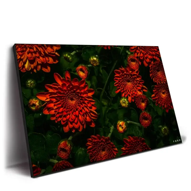Moonlight Mums Dark Wall Decor by Nick Ford