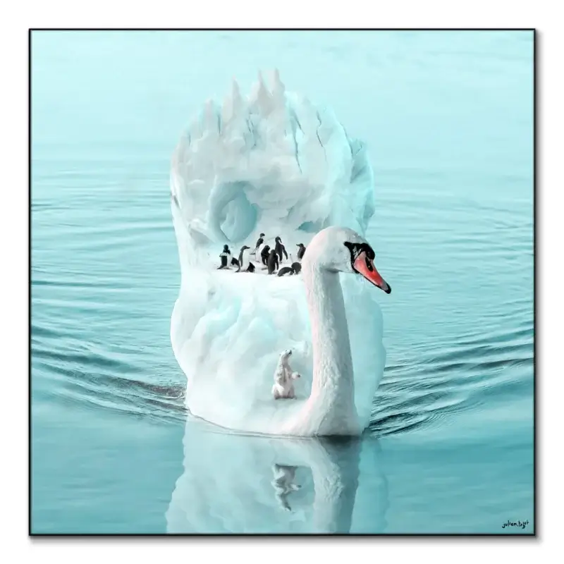 Responsibility Cool Wall Art by Julien Tabet