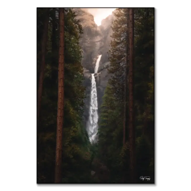 Falling Between the Trees Dark Wall Art by Paige Tingey
