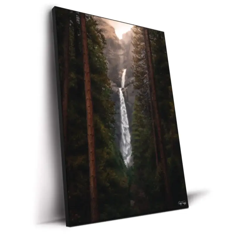 Falling Between the Trees Dark Wall Decor by Paige Tingey