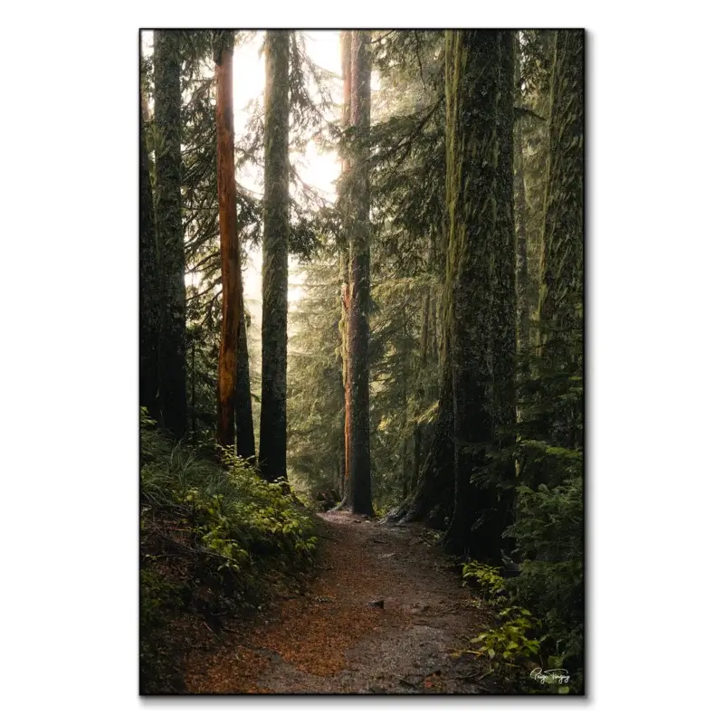 Morning Stroll Green Wall Art by Paige Tingey