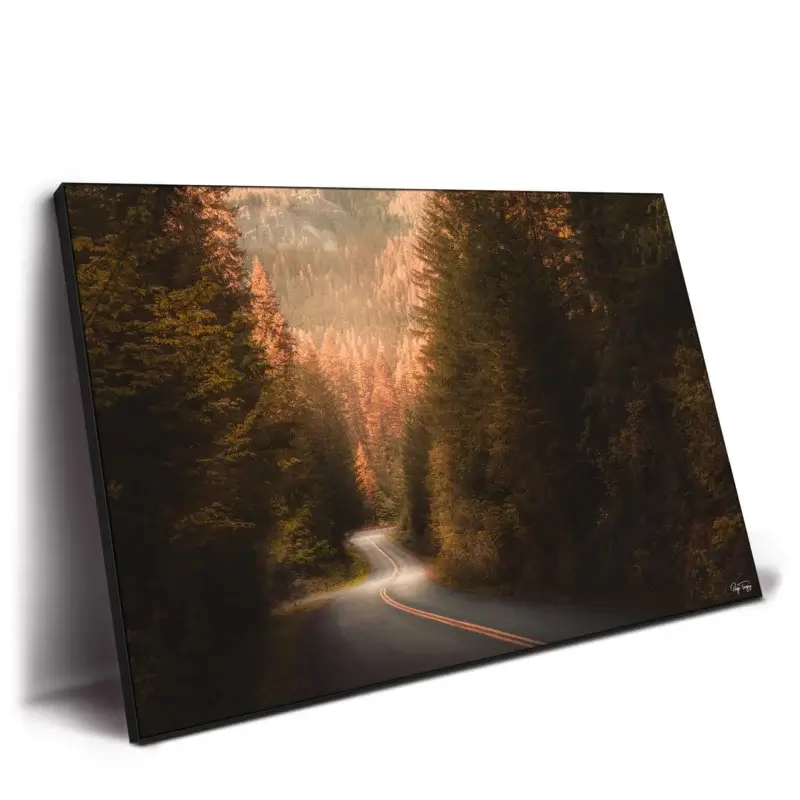 Road to Nowhere Brown Wall Decor by Paige Tingey