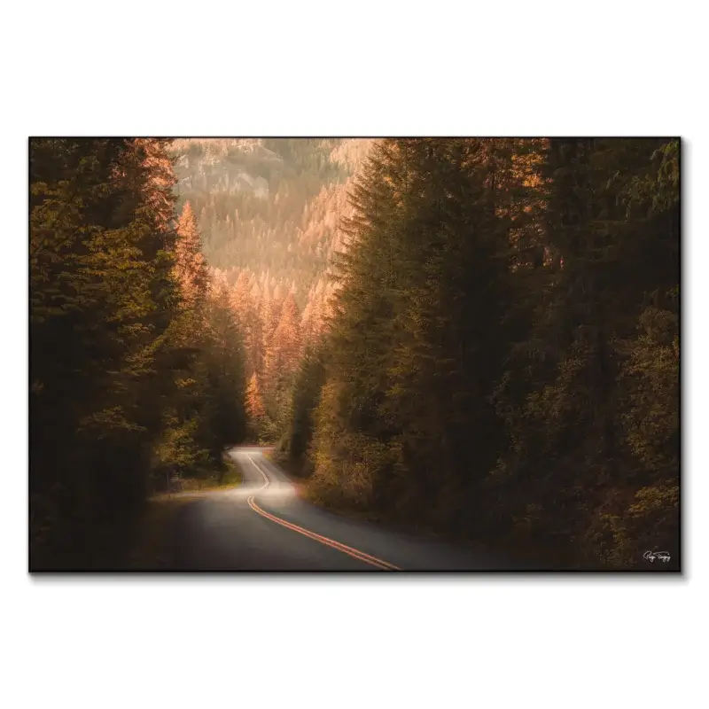 Road to Nowhere Brown Wall Art by Paige Tingey