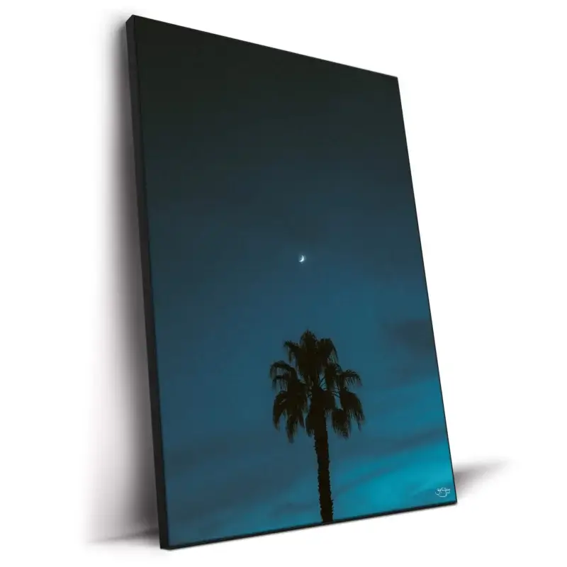 Midnight Moon Dark Wall Decor by Zachary Snellenberger