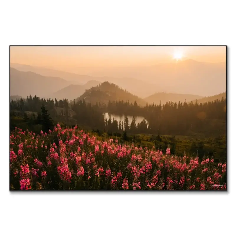 Wildflower Island Warm Wall Art by Jared Q. Gunderson