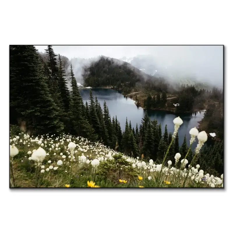 Wildflower Overlook Cool Wall Art by Jared Q. Gunderson