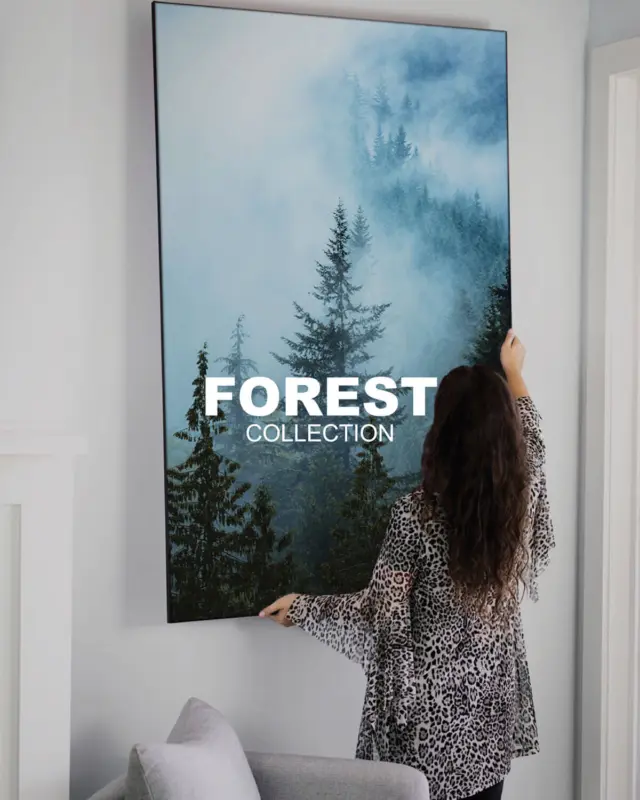 Forest - Image #1