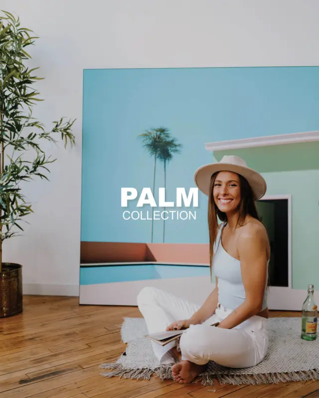 Palm Tree - Image #1